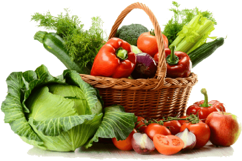 Golden%20Grace%20Acres%20|%20Gweru%20Farming