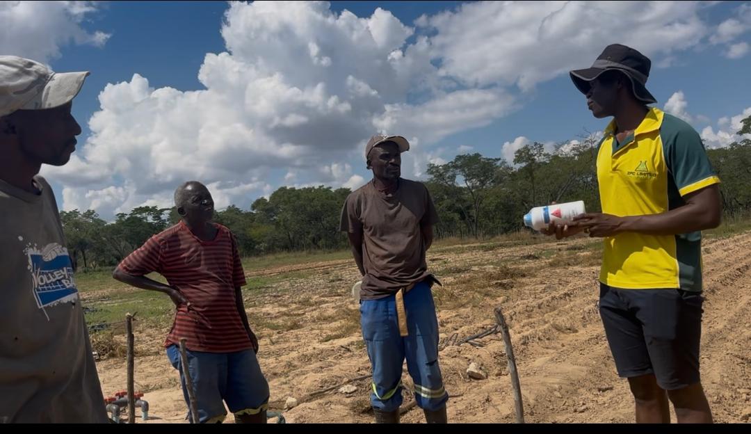 Golden%20Grace%20Acres%20|%20Gweru%20Farming